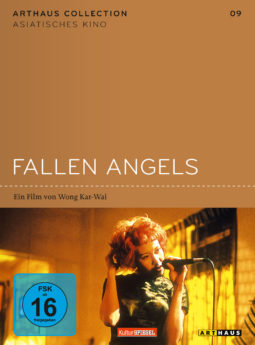 DVD-Cover Fallen Angels