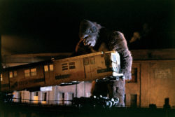 Szene aus King Kong (1976)