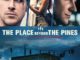 Filmposter The Place Beyond the Pines